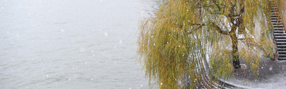 Willow Slider